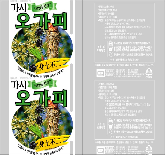 S가시오가피롤 (롤짝수주문시 무료배송/홀수주문시 착불배송)